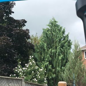 Meet your Posher, Fatima